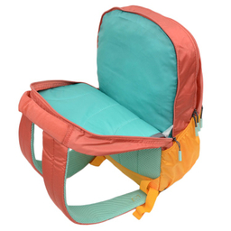 کوله پشتی امریکن توریستر مدل LC1 QUAD NEW