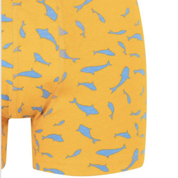 شورت پادار مردانه دفکتو مدل Fish-Air بسته 3 عددی