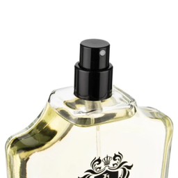 ادوپرفیوم مردانه اسپرینگ لیلیز مدل Adventure حجم 100 میلی‌ لیتر