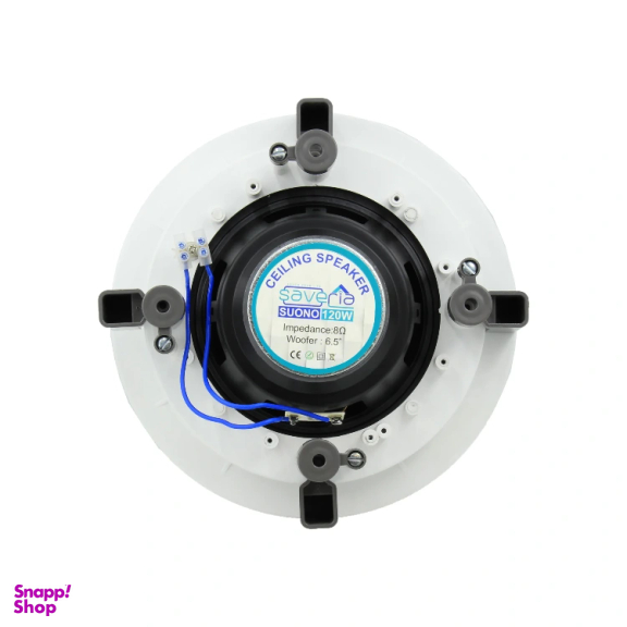 بلندگو تویتر دار مدل RT120 برش 20