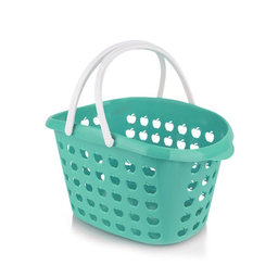 سبد پیک نیک اشکان مدل طرح سیب کد size 2