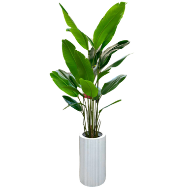 درختچه مصنوعی پرنده بهشتی کد 5702