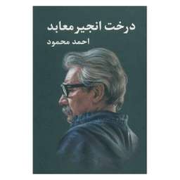 کتاب درخت انجیر معابد اثر احمد محمود انتشارات معین 2 جلدی