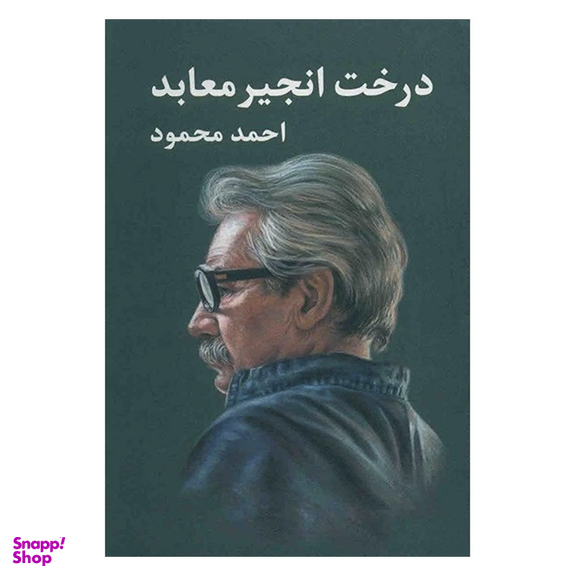 کتاب درخت انجیر معابد اثر احمد محمود انتشارات معین 2 جلدی