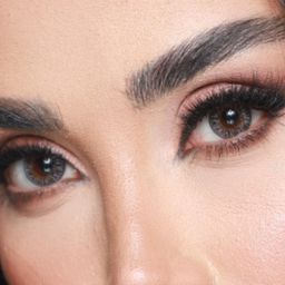 لنز رنگی سالیانه هرا شماره 10 کد HJ310 رنگ خاکستری عسلی روشن