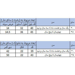 ست تیشرت و شلوارک پسرانه بچه زنبور مدل A902-3