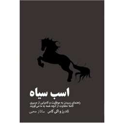 کتاب اسب سیاه اثر اگی اگاس انتشارات آیین محمود