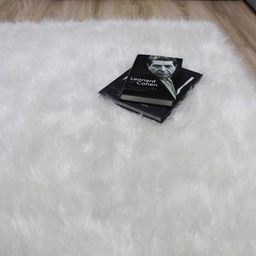 فرش ماشینی شاران هوم طرح خز پرز بلند مدل اسفنج دار