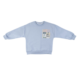 سویشرت پسرانه فیورلا مدل تیمون 45546