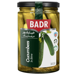 خیارشور درجه یک بدر وزن 630 گرم
