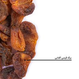 برگه قیسی آفتابی اعلی بارجیل