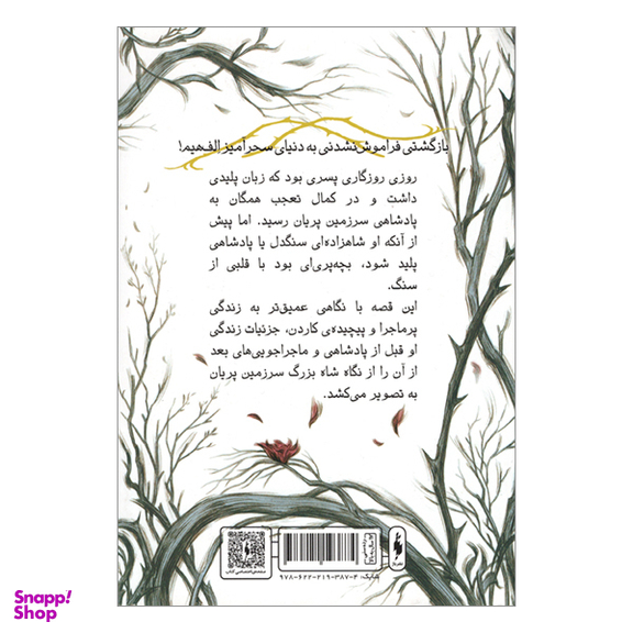 کتاب پادشاه پريان اثر هالی بلك انتشارات باژ جلد 3.5