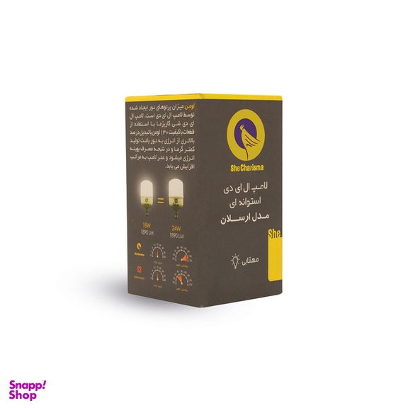 لامپ 30 وات شی کاریزما مدل ارسلان پایه E27