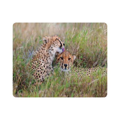 ماوس پد اطلس آبی طرح یوز پلنگ چیتا مدل T7758