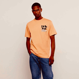 تیشرت آستین کوتاه مردانه ال سی وایکیکی مدل پشت دراگون