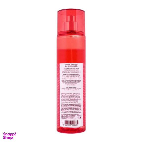 بادی اسپلش زنانه بس اند بادی ورکز مدل You are the one حجم 236 میلی لیتر