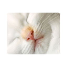 ماوس پد اطلس آبی طرح گربه مدل T7260