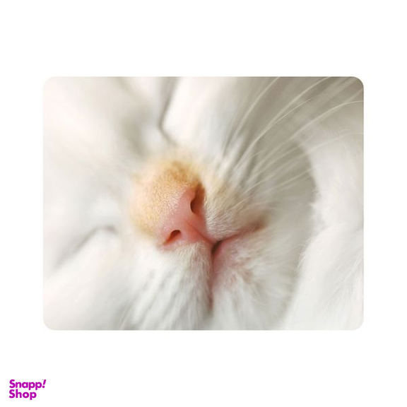 ماوس پد اطلس آبی طرح گربه مدل T7260