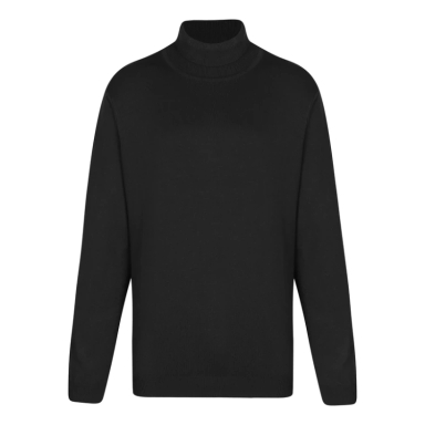 پلیور یقه اسکی مردانه ایزی دو مدل GD-s-16898732