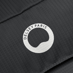 کوله پشتی ورزشی دلسی مدل NOMADE کد 3335612