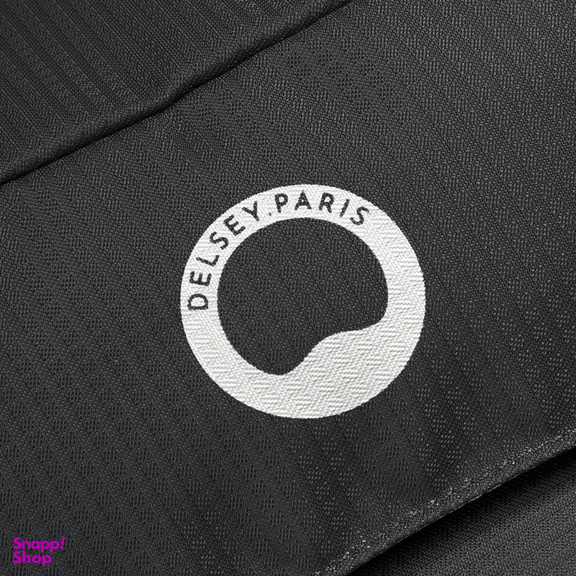 کوله پشتی ورزشی دلسی مدل NOMADE کد 3335612