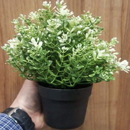گلدان ایکیا مدل FEJKA-16840 به همراه گل مصنوعی