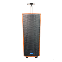 اسپیکر بلوتوثی قابل حمل پودر مدل PD-1020