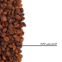 کشمش پلویی ارگانیک بارجیل