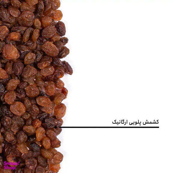 کشمش پلویی ارگانیک بارجیل