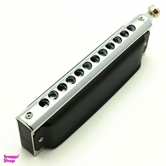 ساز دهنی کروماتیک ایستاپ مدل کینگ دریم T12-48k