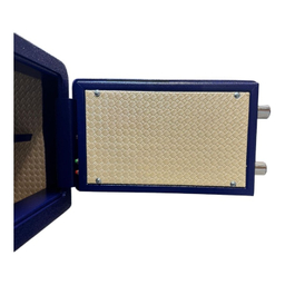 گاوصندوق الکترونیکی تارا سیف مدل اثر انگشتی کد 40FW