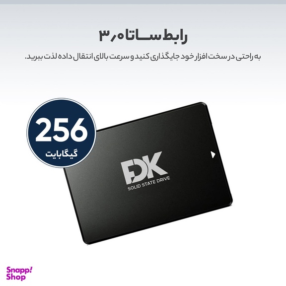 اس اس دی اینترنال فدک مدل B5 256 GB ظرفیت 256 گیگا بایت