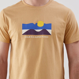 تیشرت مردانه ال سی وایکیکی مدل turk589