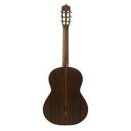 گیتار کلاسیک پارسی مدل M6