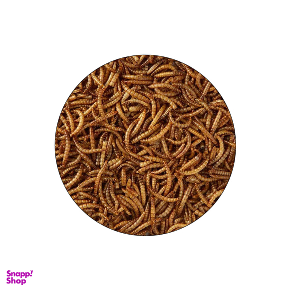 تشویقی مرغ مینا شهرپت مدل Mealworm وزن 100 گرم