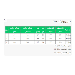 شلوار بگ زنانه السانا مدل ریهام کد 222401 رنگ مشکی
