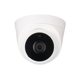 ماکت دوربین مداربسته NSI مدل Dome