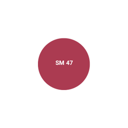 رژ لب جامد اشتون شماره SM47