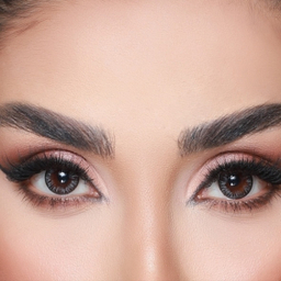 لنز رنگی سالیانه هرا شماره 6 کد HJ210 رنگ طوسی دور مشکی