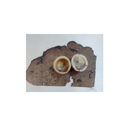 جعبه چوبی منبت کاری مدل روستیک کد JR001