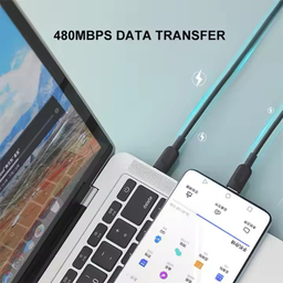 کابل USB-C رپو مدل PD100 سایز 2 متر