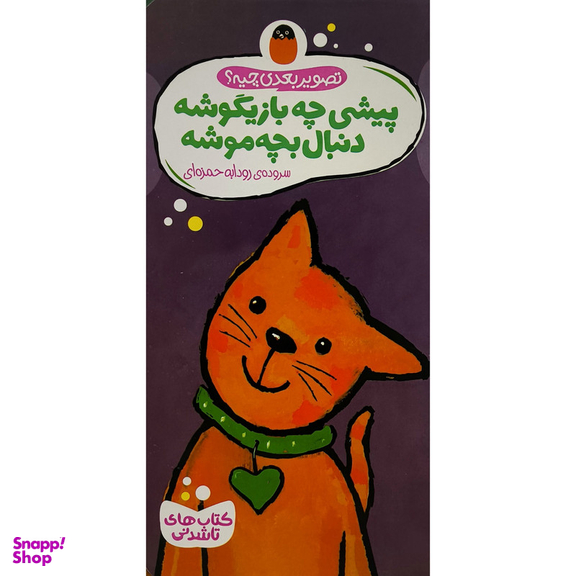 کتاب تصوير بعدی چيه پيشی چه بازيگوشه دنبال بچه موشه اثر گويدو وان گنكتن انتشارات پرنده