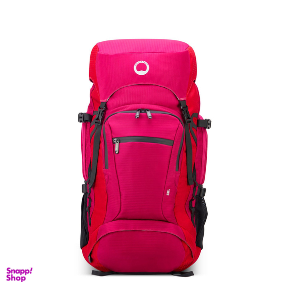 کوله پشتی ورزشی دلسی مدل NOMADE کد 3335612