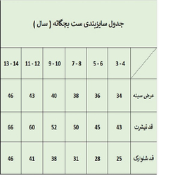 ست تیشرت و شلوارک بچگانه ترسه به نگار مدل چاپی کد 62033