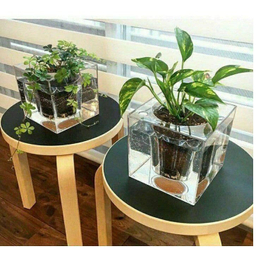 آکواریوم مدل گلدان مجموعه دو عددی