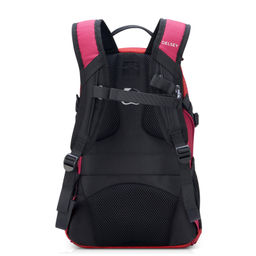 کوله پشتی دلسی مدل NOMADE کد 3335610