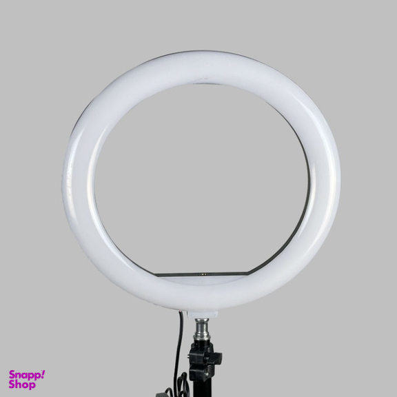 رینگ لایت پی نت مدل Filling Light 10-Inch