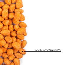 مغز بادام زمینی روکش دار پنیری رنگی بارجیل
