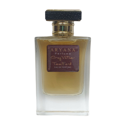 ادوپرفیوم مردانه آریانا مدل Tom Ford Grey Vetiver
