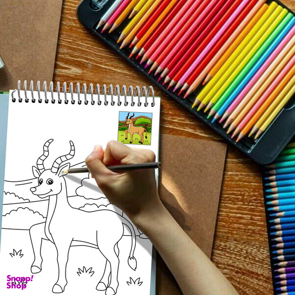 دفتر رنگ آمیزی مستر راد طرح رنگی کد 1669